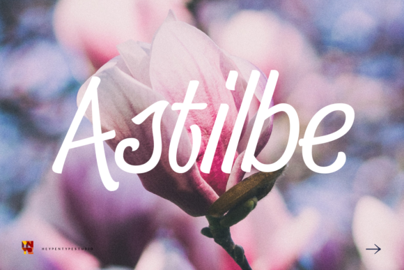 Astilbe: A Font That Merges Elegance with Functionality in Modern Design