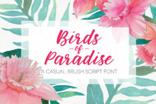 Birds of Paradies