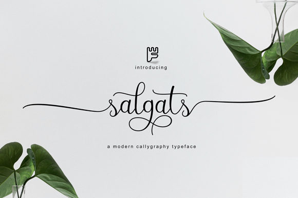 Salgats: A Strategic Tool for Elegant Typography and Effective Communication